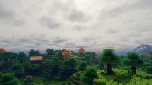 预览图 11