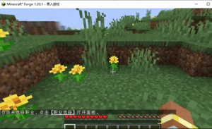 预览图 1