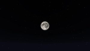 预览图 3
