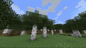 预览图 1