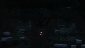 预览图 1