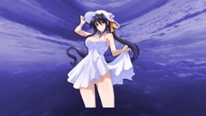 预览图 1