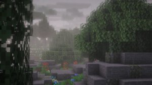 预览图 1