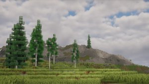 预览图 6