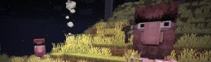 预览图 1