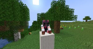 预览图 13
