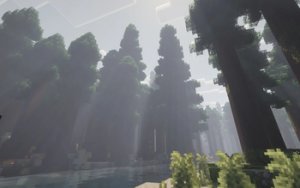 预览图 11