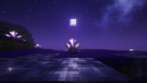 预览图 1