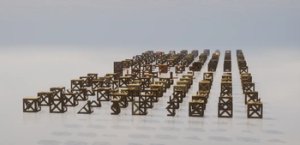 预览图 8