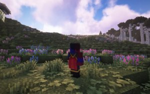 预览图 20