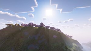 预览图 11