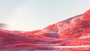 预览图 4