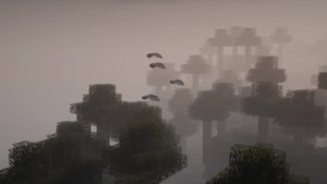 预览图 9