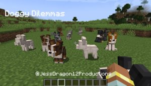 预览图 11