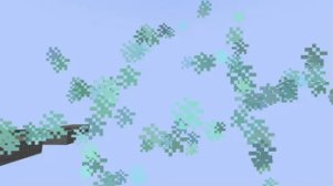 预览图 4