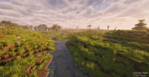 预览图 11