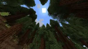 预览图 10