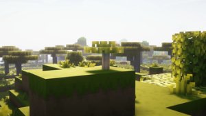 预览图 5