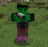 预览图 16