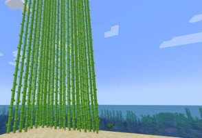 预览图 1