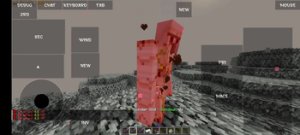 预览图 5