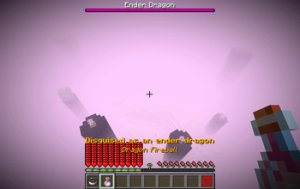 预览图 12
