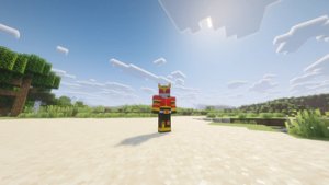 预览图 4
