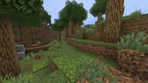 预览图 5