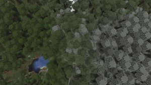 预览图 11
