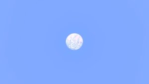 预览图 20