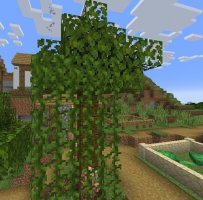 预览图 3