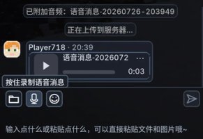 预览图 4