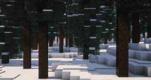 预览图 12