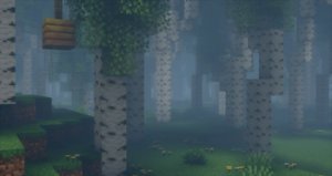 预览图 10