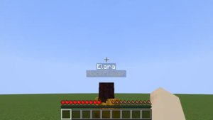 预览图 10