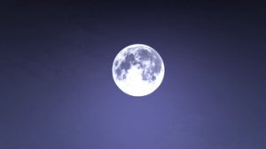预览图 10