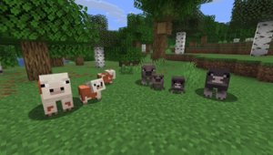 预览图 1