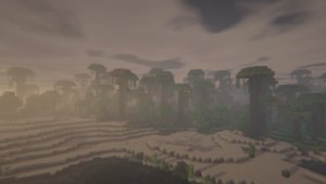 预览图 3