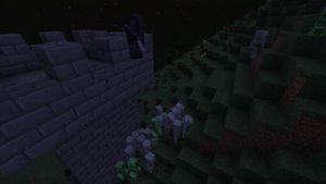 预览图 3