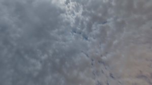 预览图 4