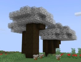 预览图 1