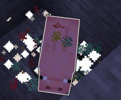 预览图 3