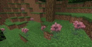 预览图 5