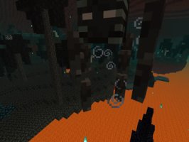 预览图 10