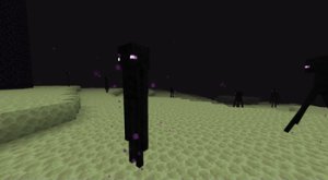 预览图 3