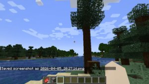 预览图 3