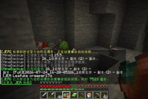 预览图 5