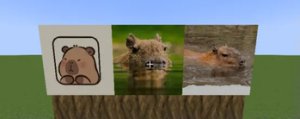 预览图 1