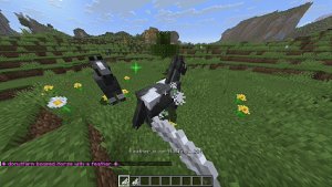 预览图 1