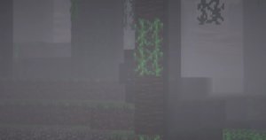 预览图 10